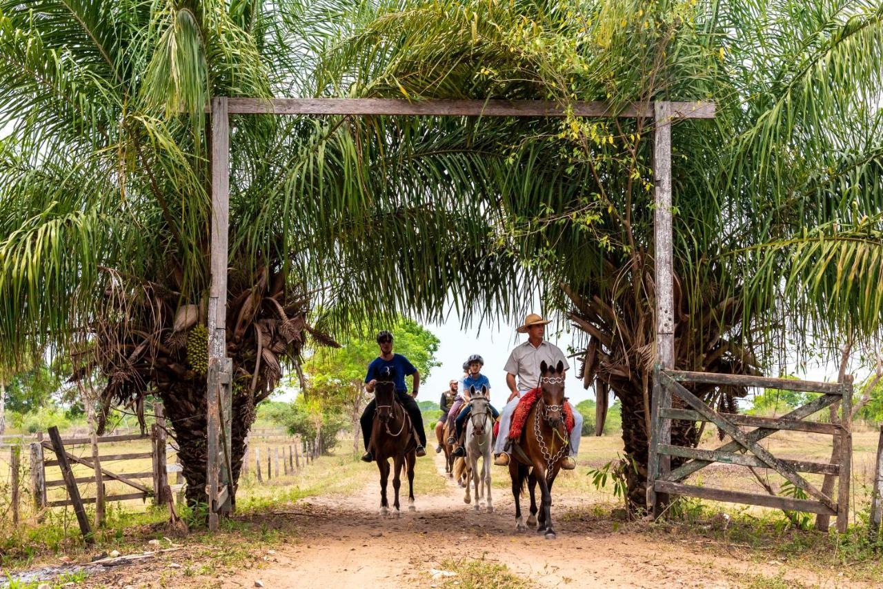 Todos os Santos Pousada Fazenda Xaraes מראה חיצוני תמונה