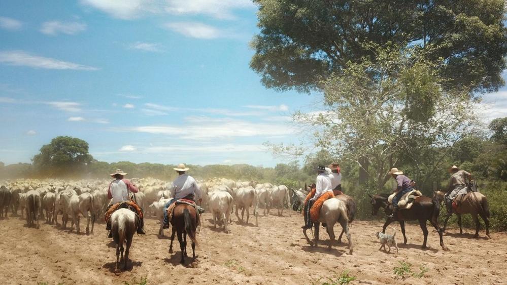 Todos os Santos Pousada Fazenda Xaraes מראה חיצוני תמונה