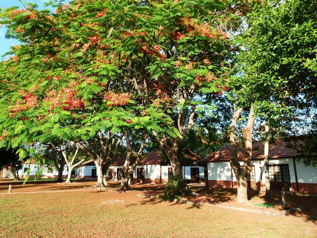 Todos os Santos Pousada Fazenda Xaraes מראה חיצוני תמונה