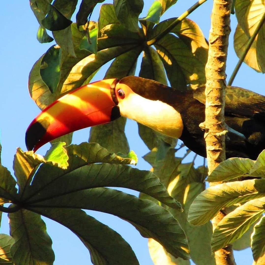 Todos os Santos Pousada Fazenda Xaraes מראה חיצוני תמונה
