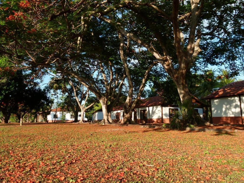 Todos os Santos Pousada Fazenda Xaraes מראה חיצוני תמונה